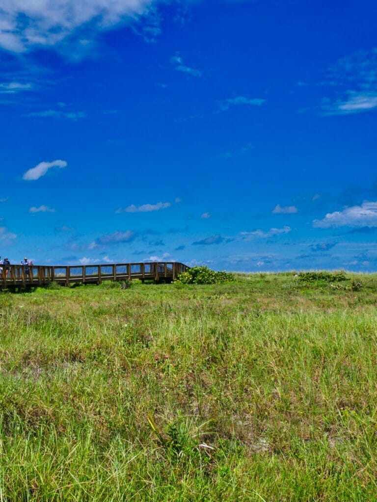 Fort De Soto Park Florida Ultimate Guide Tips All American