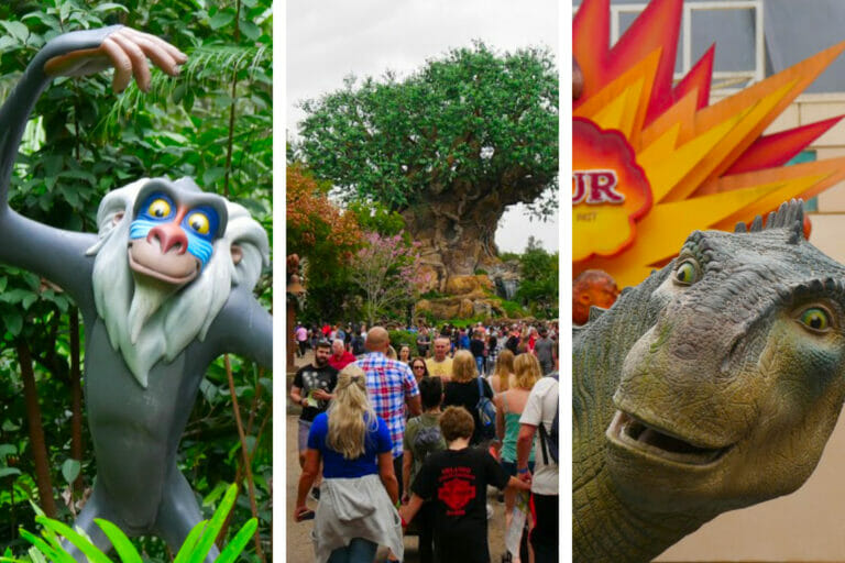 21 Adventurous Things to Do at Animal Kingdom - All-American Atlas