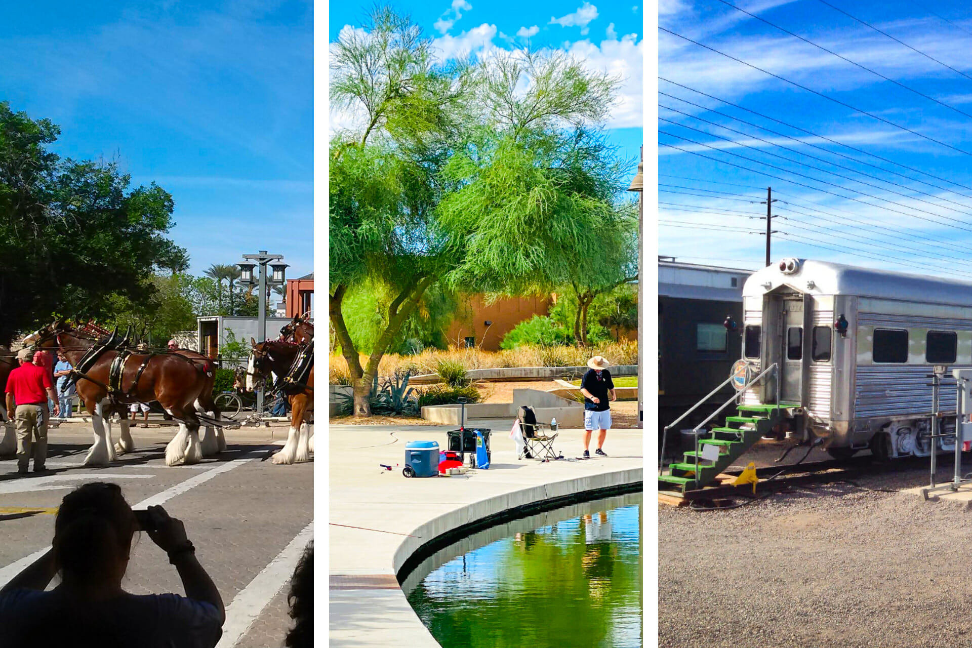 17 Exciting Things to Do in Chandler, Arizona